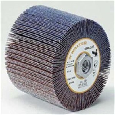 Mola A Flap Walter Coolcut: Disco Abrasivo In Ossido Di Alluminio, Coda Rotonda, Per Smerigliatrici Dritte, 10 Pezzi